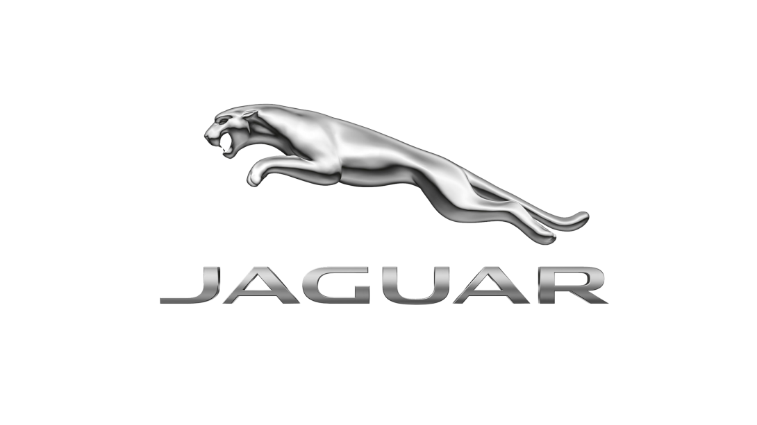 Jaguar Autologo